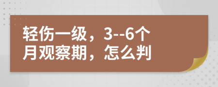 輕傷一級，3--6個月觀察期，怎么判