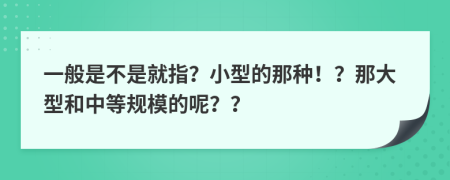 一般是不是就指？小型的那種??？那大型和中等規(guī)模的呢？？
