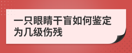一只眼睛干盲如何鑒定為幾級(jí)傷殘