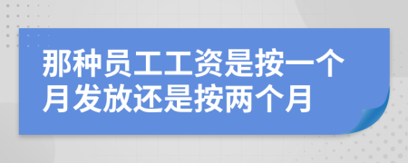 那種員工工資是按一個月發(fā)放還是按兩個月