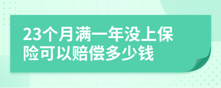 23個(gè)月滿一年沒上保險(xiǎn)可以賠償多少錢