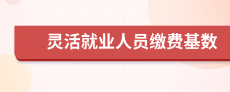 靈活就業(yè)人員繳費基數(shù)