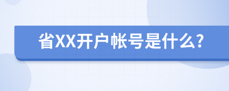 省XX開戶帳號(hào)是什么?