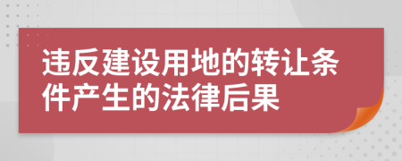 違反建設(shè)用地的轉(zhuǎn)讓條件產(chǎn)生的法律后果