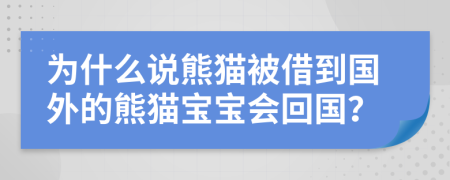 為什么說(shuō)熊貓被借到國(guó)外的熊貓寶寶會(huì)回國(guó)？