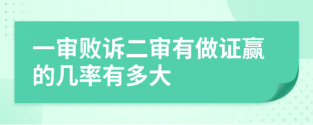 一審敗訴二審有做證贏的幾率有多大