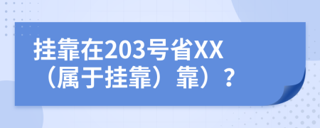 掛靠在203號(hào)省XX（屬于掛靠）靠）？
