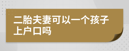 二胎夫妻可以一個(gè)孩子上戶口嗎