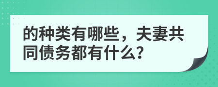 的種類有哪些，夫妻共同債務(wù)都有什么？