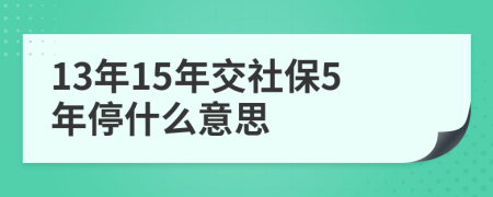 13年15年交社保5年停什么意思