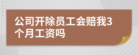 公司開除員工會(huì)賠我3個(gè)月工資嗎