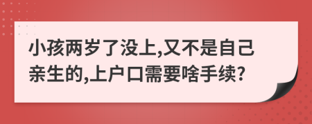 小孩兩歲了沒上,又不是自己親生的,上戶口需要啥手續(xù)?