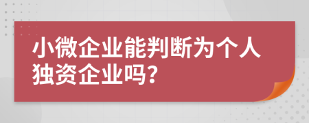 小微企業(yè)能判斷為個(gè)人獨(dú)資企業(yè)嗎？
