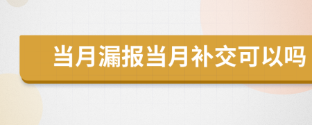 當(dāng)月漏報(bào)當(dāng)月補(bǔ)交可以嗎