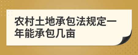 農(nóng)村土地承包法規(guī)定一年能承包幾畝