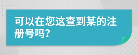 可以在您這查到某的注冊(cè)號(hào)嗎？