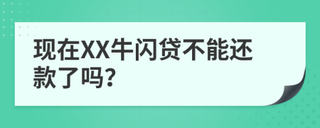 現(xiàn)在XX牛閃貸不能還款了嗎？