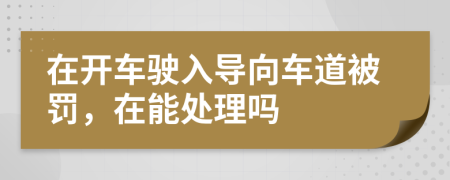 在開(kāi)車(chē)駛?cè)雽?dǎo)向車(chē)道被罰，在能處理嗎