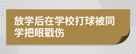 放學后在學校打球被同學把眼戳傷