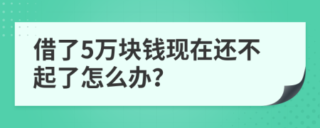 借了5萬塊錢現(xiàn)在還不起了怎么辦？