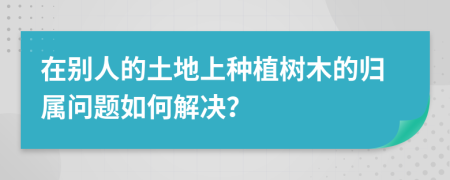 在別人的土地上種植樹木的歸屬問題如何解決？