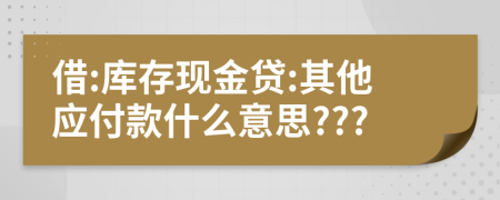 借:庫(kù)存現(xiàn)金貸:其他應(yīng)付款什么意思???