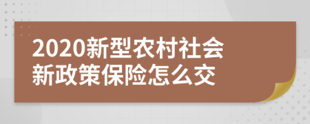 2020新型農(nóng)村社會(huì)新政策保險(xiǎn)怎么交