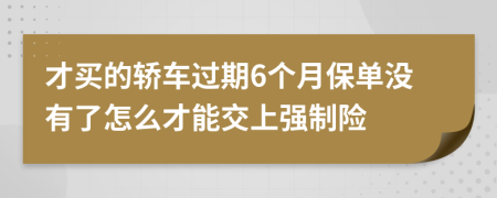 才買的轎車過期6個月保單沒有了怎么才能交上強制險