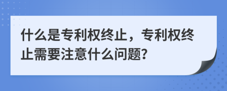 什么是專利權(quán)終止，專利權(quán)終止需要注意什么問題？