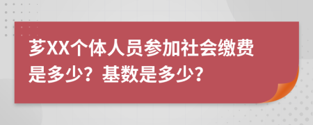 薌XX個(gè)體人員參加社會(huì)繳費(fèi)是多少？基數(shù)是多少？