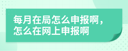 每月在局怎么申報啊，怎么在網(wǎng)上申報啊