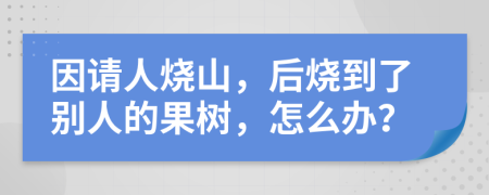 因請(qǐng)人燒山，后燒到了別人的果樹，怎么辦？