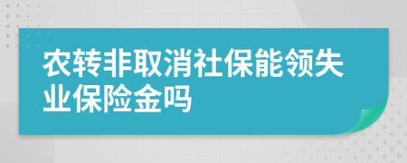 農(nóng)轉(zhuǎn)非取消社保能領(lǐng)失業(yè)保險(xiǎn)金嗎