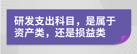 研發(fā)支出科目，是屬于資產(chǎn)類，還是損益類