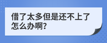 借了太多但是還不上了怎么辦啊？