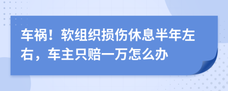 車禍！軟組織損傷休息半年左右，車主只賠一萬怎么辦