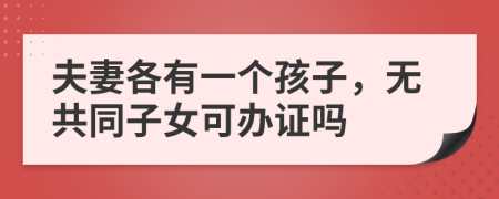 夫妻各有一個孩子，無共同子女可辦證嗎