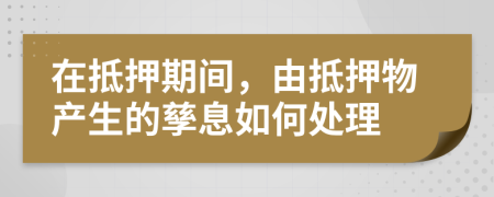 在抵押期間，由抵押物產(chǎn)生的孳息如何處理