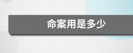 命案用是多少