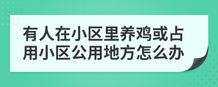 有人在小區(qū)里養(yǎng)雞或占用小區(qū)公用地方怎么辦