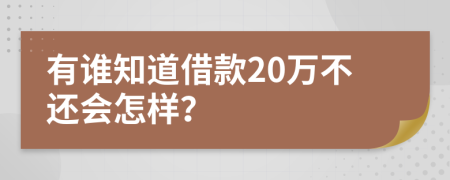 有誰(shuí)知道借款20萬(wàn)不還會(huì)怎樣？