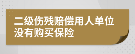 二級傷殘賠償用人單位沒有購買保險(xiǎn)