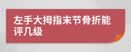 左手大拇指末節(jié)骨折能評幾級