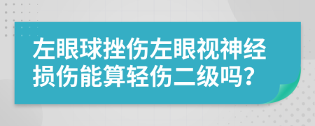 左眼球挫傷左眼視神經(jīng)損傷能算輕傷二級嗎？