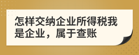 怎樣交納企業(yè)所得稅我是企業(yè)，屬于查賬