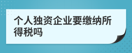 個(gè)人獨(dú)資企業(yè)要繳納所得稅嗎
