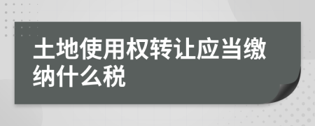 土地使用權(quán)轉(zhuǎn)讓應(yīng)當(dāng)繳納什么稅