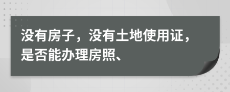 沒(méi)有房子，沒(méi)有土地使用證，是否能辦理房照、