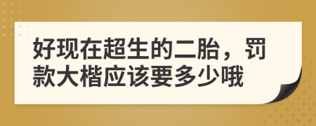 好現(xiàn)在超生的二胎，罰款大楷應(yīng)該要多少哦