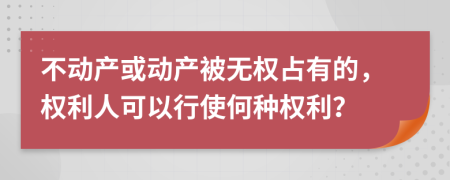 不動產(chǎn)或動產(chǎn)被無權(quán)占有的，權(quán)利人可以行使何種權(quán)利？